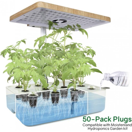 كبسولات البذور كبسولات البذور